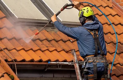 Démoussage et hydrofuge de toiture à Cublize